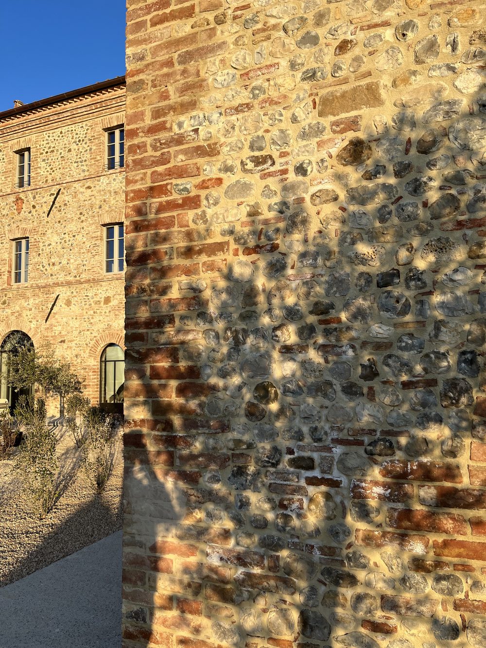 Muratura in pietra e mattoni di Ca' Litardo dopo il restauro, con l'ombra di un ulivo